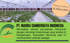 LOWONGAN PEKERJAAN PT. NUDIRA SUMBERDAYA INDONESIA