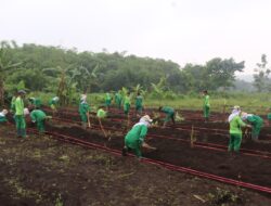 Kegiatan Praktik Jurusan ATPH di Lahan SMK PPN Tanjungsari
